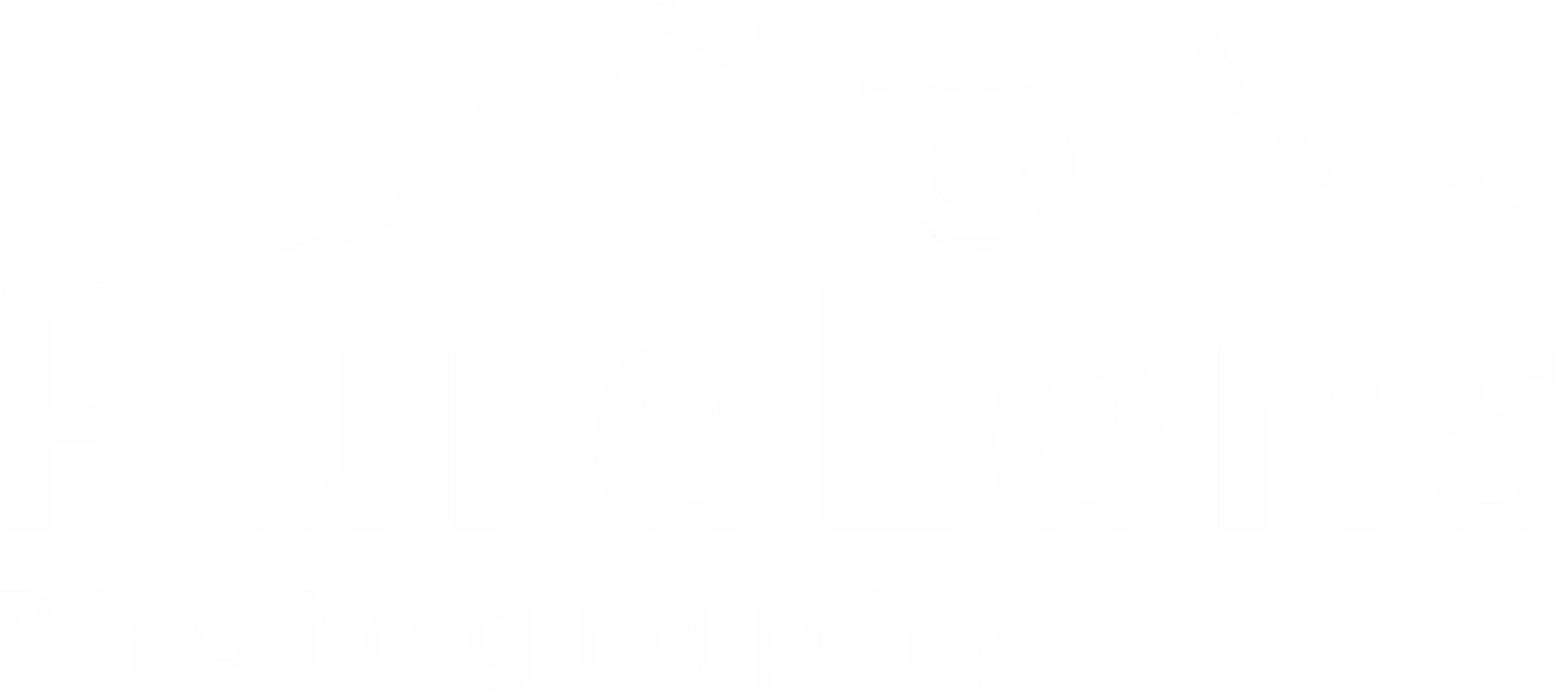 PureLens Photography Logo
